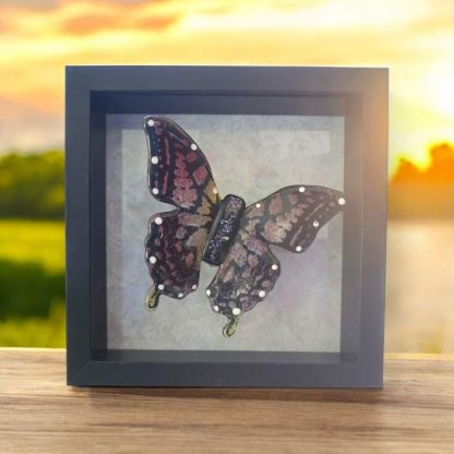 Glass butterfly with ashes , framed in a 8x8 shadow box.